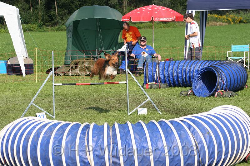 jubil.lusten. 133.jpg